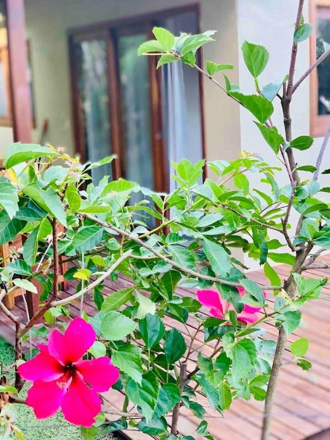 Velha BoipebaCasa Hibiscus别墅 外观 照片